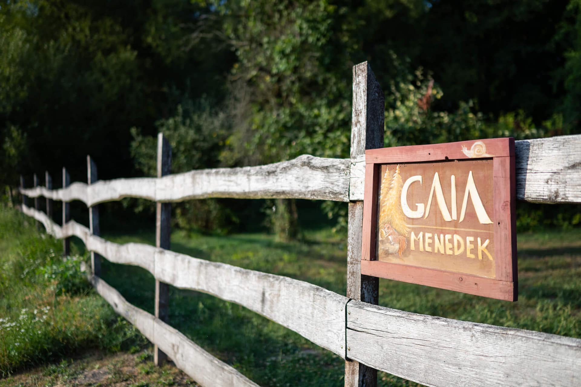 kerítés1 kerítés1