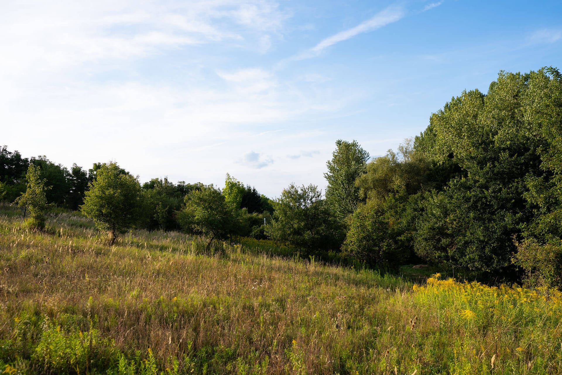 dombdoldal1 dombdoldal1